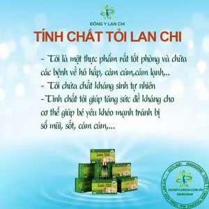 Sản phẩm tinh chat toi lan chi 18 300x300 — Công Ty TNHH Thương Mại Tổng Hợp Lan Chi — MST 2400821572