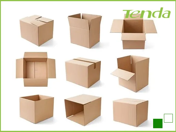 Sản phẩm cartonn2 — Khay Giấy Tenda Tech Việt Nam - Công Ty TNHH Tenda Tech Việt Nam — MST 2400933607