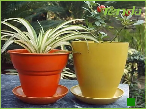 Sản phẩm tenda3 (1) — Khay Giấy Tenda Tech Việt Nam - Công Ty TNHH Tenda Tech Việt Nam — MST 2400933607