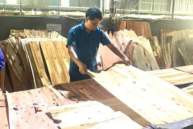 Sản phẩm hinh anh san xuat (1) — Ván ép Quang Thịnh Phát - Công Ty TNHH GS Quang Thịnh Phát — MST 2400959115