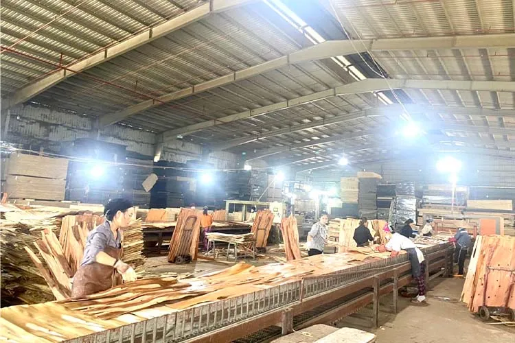 Sản phẩm hinh anh san xuat (2) — Ván ép Quang Thịnh Phát - Công Ty TNHH GS Quang Thịnh Phát — MST 2400959115