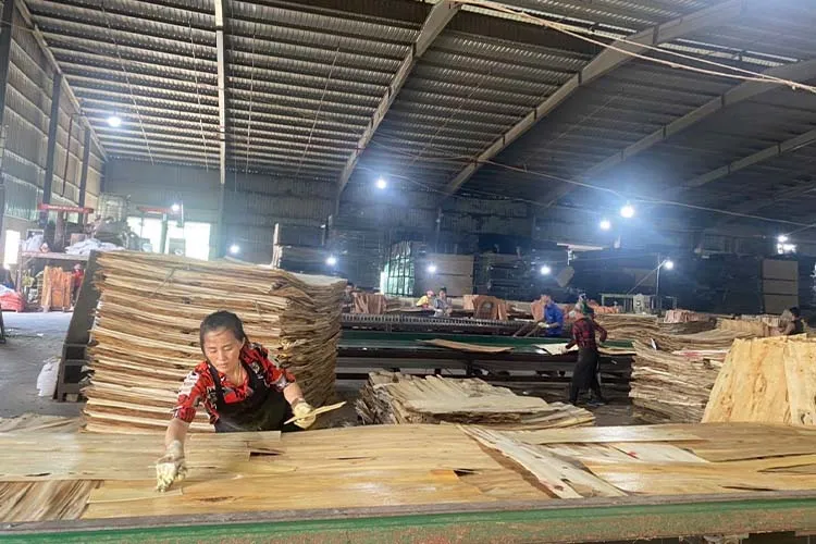 Sản phẩm hinh anh san xuat (3) — Ván ép Quang Thịnh Phát - Công Ty TNHH GS Quang Thịnh Phát — MST 2400959115