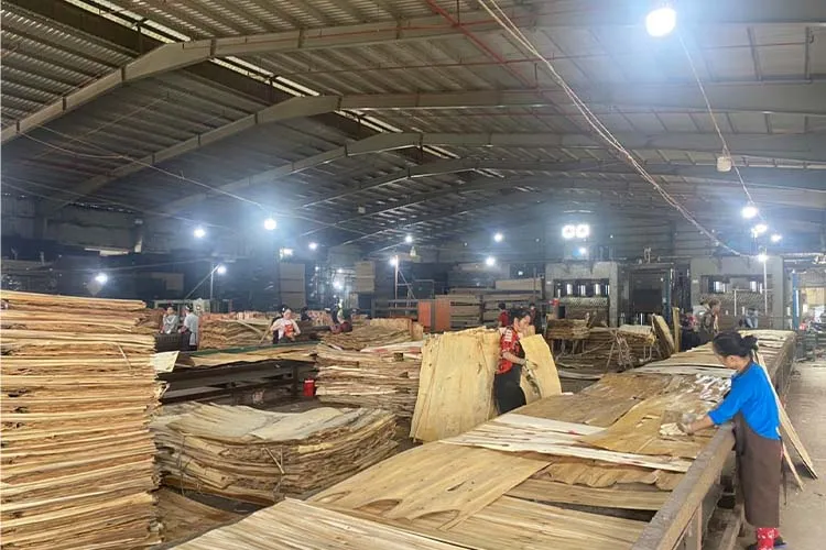 Sản phẩm hinh anh san xuat (4) — Ván ép Quang Thịnh Phát - Công Ty TNHH GS Quang Thịnh Phát — MST 2400959115