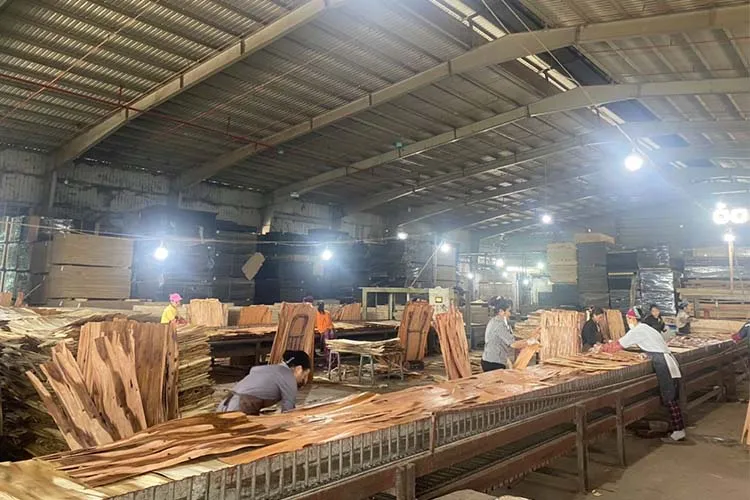 Sản phẩm hinh anh san xuat (6) — Ván ép Quang Thịnh Phát - Công Ty TNHH GS Quang Thịnh Phát — MST 2400959115