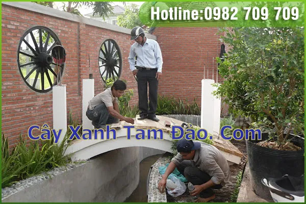Sản phẩm thi cong san vuon — Trung Tâm Cây Giống Cây Nguyên Liệu Tam Đảo - Công Ty Cổ Phần Nông Dược Tam Đảo — MST 2500299159