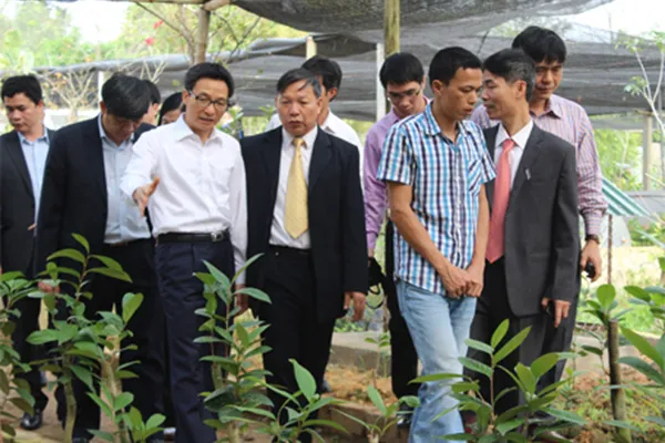 Sản phẩm ong vu duc dam ghe tham vuon uom — Trung Tâm Cây Giống Cây Nguyên Liệu Tam Đảo - Công Ty Cổ Phần Nông Dược Tam Đảo — MST 2500299159
