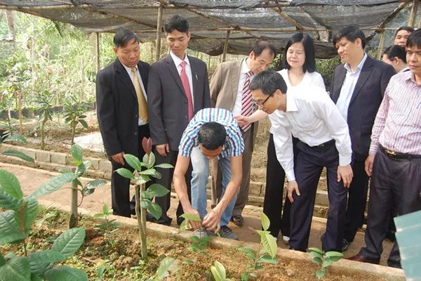 Sản phẩm ong vu duc dam ghe tham vuon uom3 — Trung Tâm Cây Giống Cây Nguyên Liệu Tam Đảo - Công Ty Cổ Phần Nông Dược Tam Đảo — MST 2500299159