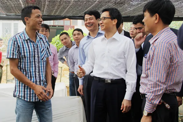 Sản phẩm ong vu duc dam ghe tham vuon uom4 — Trung Tâm Cây Giống Cây Nguyên Liệu Tam Đảo - Công Ty Cổ Phần Nông Dược Tam Đảo — MST 2500299159