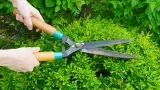 Sản phẩm mantenimiento de piscinas y jardines en pozuelo 1545726569 — Công Ty Cổ Phần Thương Mại Và Dịch Vụ Quốc Tế — MST 2500425276