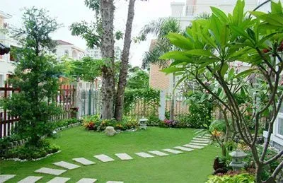 Sản phẩm cay canh san vuon 1545814758 — Công Ty Cổ Phần Thương Mại Và Dịch Vụ Quốc Tế — MST 2500425276