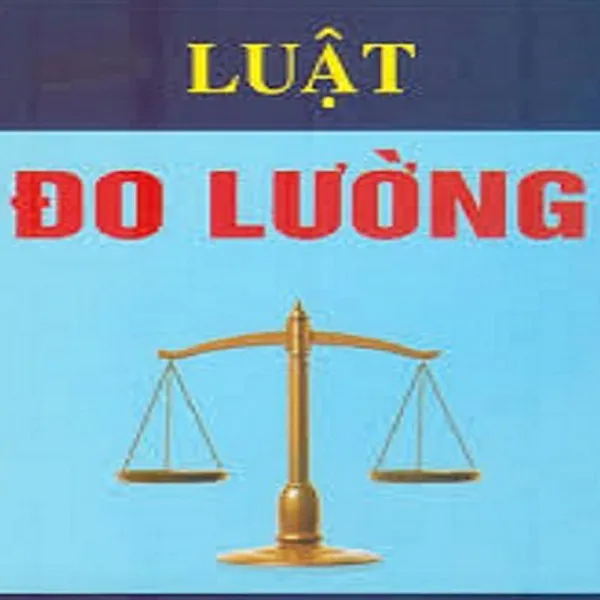 Sản phẩm kiem dinh — Cân Điện Tử VIETLIFE - Công Ty TNHH Công Nghệ Và Dịch Vụ VIETLIFE — MST 2500449799