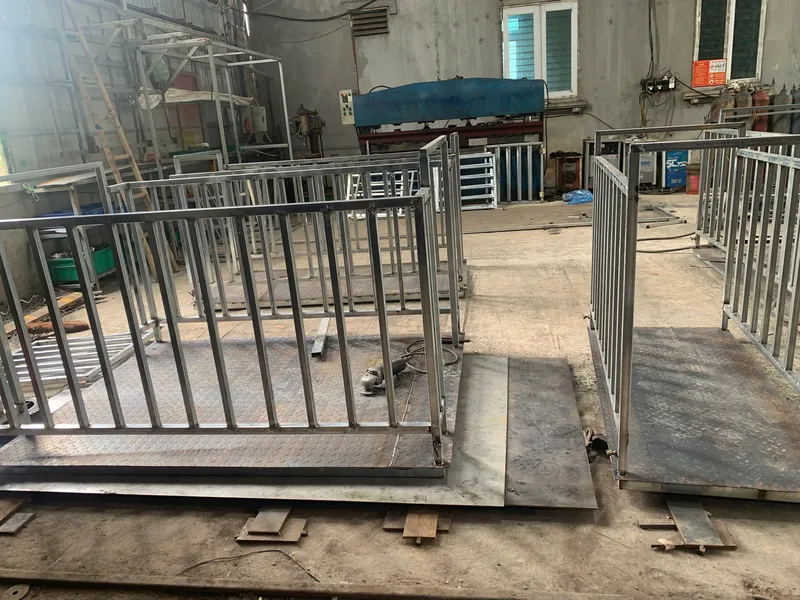Sản phẩm cÃ¢n Ä‘á»™ng váº­t — Cân Điện Tử VIETLIFE - Công Ty TNHH Công Nghệ Và Dịch Vụ VIETLIFE — MST 2500449799