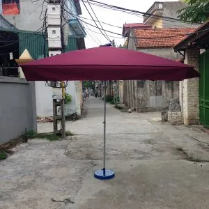 Sản phẩm TO 005 300x300 — ô Dù T Và T - Công Ty TNHH Một Thành Viên Sản Xuất Thương Mại Và Dịch Vụ T Và T — MST 2500453795