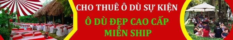 Sản phẩm bannechothuedom — ô Dù T Và T - Công Ty TNHH Một Thành Viên Sản Xuất Thương Mại Và Dịch Vụ T Và T — MST 2500453795