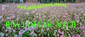 Sản phẩm 12 — Công Ty Cổ Phần Du Lịch Quốc Tế Goldsun — MST 2500511768