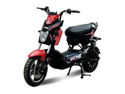 Sản phẩm do 02 400x300 — Công Ty CP Xe Điện ANBICO — MST 2500545541