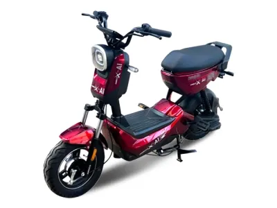 Sản phẩm do 400x300 — Công Ty CP Xe Điện ANBICO — MST 2500545541