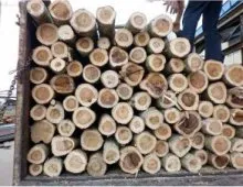 Sản phẩm quy trinh san xuat pallet nhap nguyen lieu 9106 — Pallet Gỗ Minh Công - Công Ty TNHH Sản Xuất Và Kinh Doanh Thương Mại Minh Công — MST 2500570837