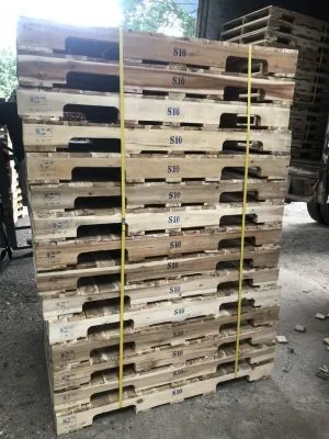 Sản phẩm z5380117441342_11f80186a55c547fcef4dea289af9127 300x400 — Pallet Gỗ Minh Công - Công Ty TNHH Sản Xuất Và Kinh Doanh Thương Mại Minh Công — MST 2500570837