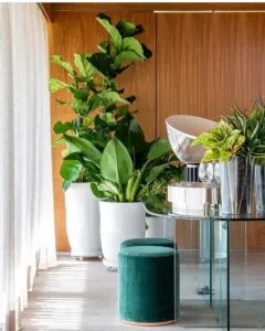 Sản phẩm OP PHANG2 240x300 — VIWOOD - Công Ty CP Gỗ Nhựa Việt ý — MST 2500583699