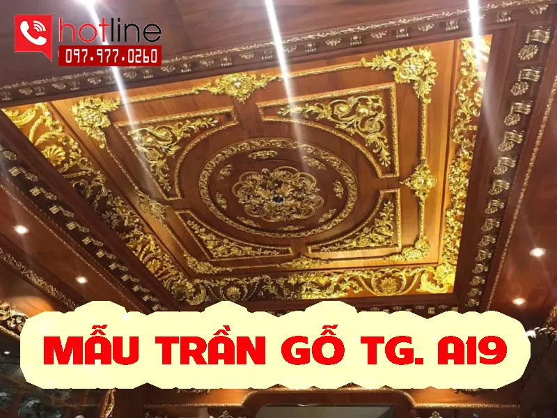 Sản phẩm tran go tu nhien a19 — Nội Thất Gỗ Nhà Đẹp - Công Ty TNHH Xây Dựng Nhà Đẹp T&T — MST 2500653473