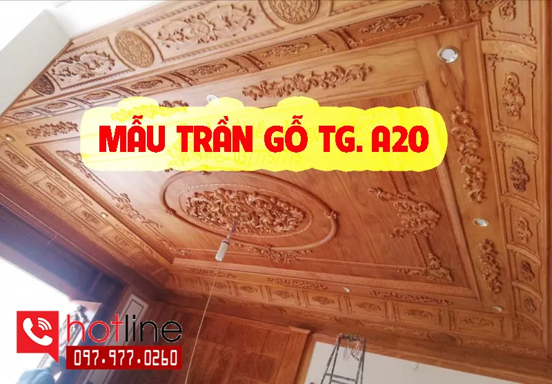 Sản phẩm tran go tu nhien a20 — Nội Thất Gỗ Nhà Đẹp - Công Ty TNHH Xây Dựng Nhà Đẹp T&T — MST 2500653473
