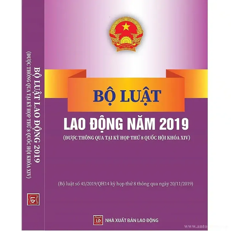 Sản phẩm nhung diem moi cua luat lao dong 2019 — Công Ty TNHH An Toàn Lao Động ABS — MST 2500701656