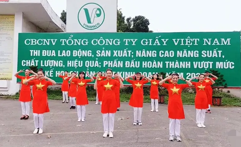 Sản phẩm b — Tổng Công Ty Giấy Việt Nam — MST 2600357502