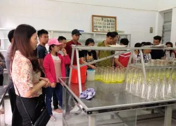 Sản phẩm Dich_vu_tu_van_01 350x250 — Tổng Công Ty Giấy Việt Nam — MST 2600357502