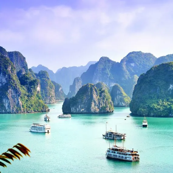 Sản phẩm Halong 570x570 1 — Công Ty Cổ Phần Tập Đoàn Liên Kết Hùng Vương — MST 2600415539