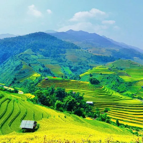 Sản phẩm Sapa 570x570 1 — Công Ty Cổ Phần Tập Đoàn Liên Kết Hùng Vương — MST 2600415539