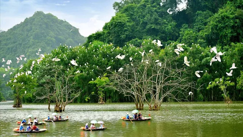 Sản phẩm 11 — Công Ty Cổ Phần Tập Đoàn Liên Kết Hùng Vương — MST 2600415539