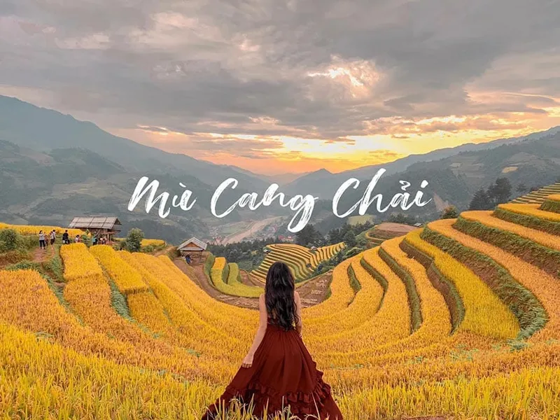 Sản phẩm mu cang chai — Công Ty Cổ Phần Tập Đoàn Liên Kết Hùng Vương — MST 2600415539
