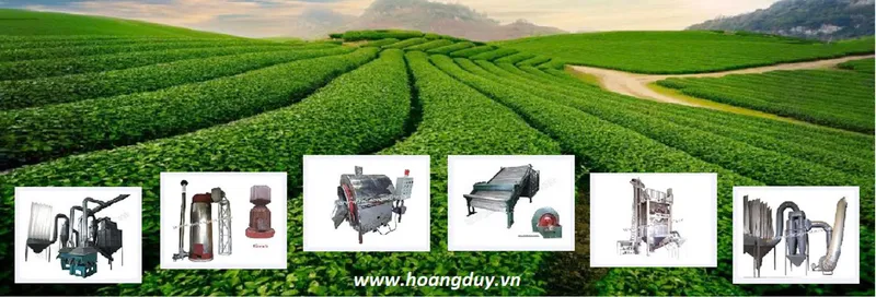 Sản phẩm z7435702346242_cc7d0fe5f75c52539b9c670e38d5475b — Công Ty TNHH Hoàng Duy — MST 2600701297