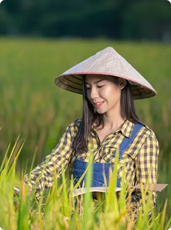Sản phẩm img intro 01 — Công Ty Cổ Phần Giống - Vật Tư Nông Nghiệp Công Nghệ Cao Việt Nam — MST 2600741451