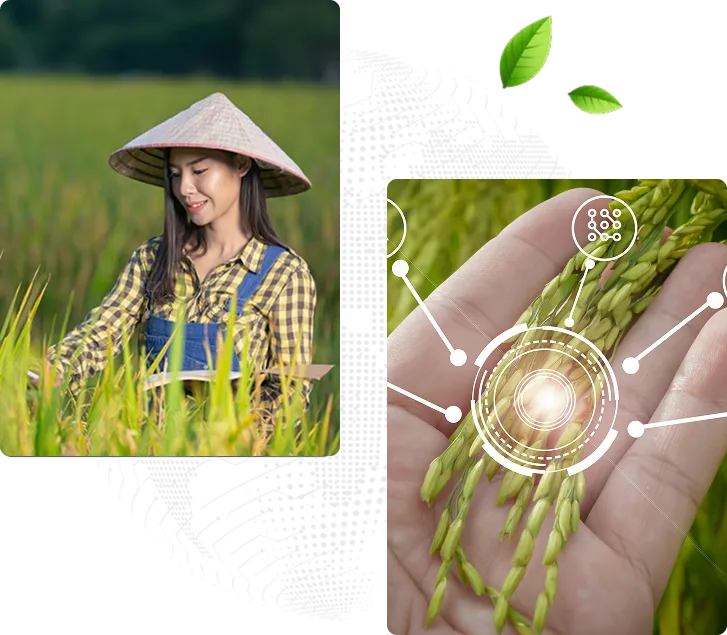 Sản phẩm img intro — Công Ty Cổ Phần Giống - Vật Tư Nông Nghiệp Công Nghệ Cao Việt Nam — MST 2600741451