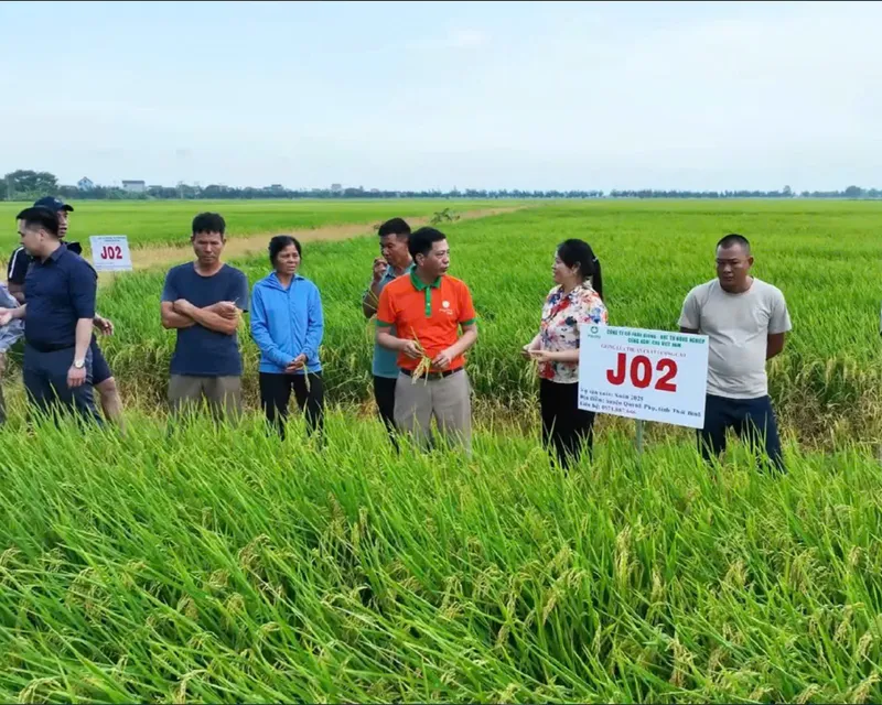 Sản phẩm tab1 — Công Ty Cổ Phần Giống - Vật Tư Nông Nghiệp Công Nghệ Cao Việt Nam — MST 2600741451