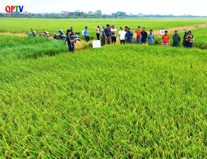 Sản phẩm tab3 — Công Ty Cổ Phần Giống - Vật Tư Nông Nghiệp Công Nghệ Cao Việt Nam — MST 2600741451
