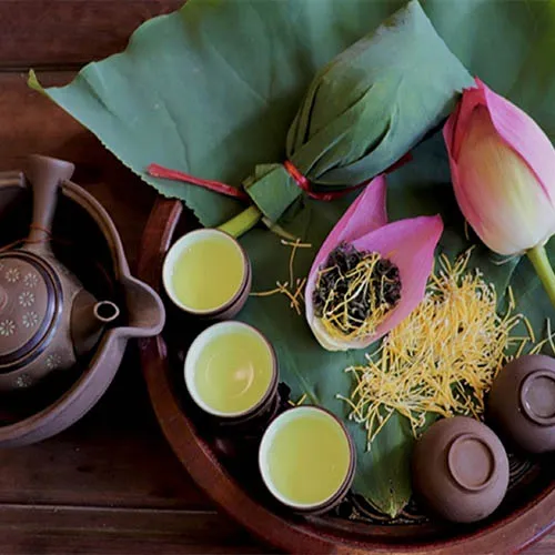 Sản phẩm tra — Công Ty Cổ Phần Giống - Vật Tư Nông Nghiệp Công Nghệ Cao Việt Nam — MST 2600741451