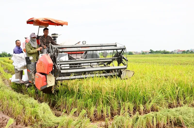 Sản phẩm 3 — Công Ty Cổ Phần Giống - Vật Tư Nông Nghiệp Công Nghệ Cao Việt Nam — MST 2600741451