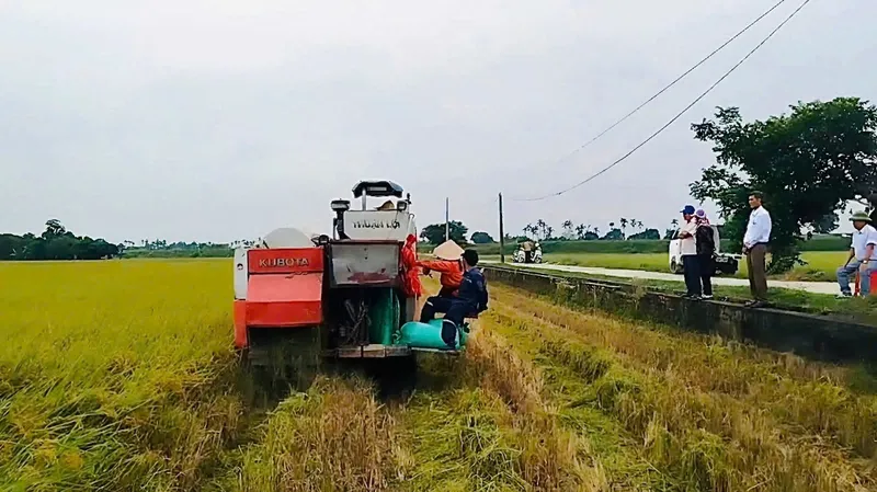 Sản phẩm 4 — Công Ty Cổ Phần Giống - Vật Tư Nông Nghiệp Công Nghệ Cao Việt Nam — MST 2600741451