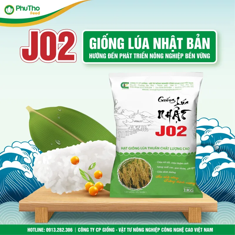 Sản phẩm 488708849_1230857769045107_2135698041880782234_n — Công Ty Cổ Phần Giống - Vật Tư Nông Nghiệp Công Nghệ Cao Việt Nam — MST 2600741451