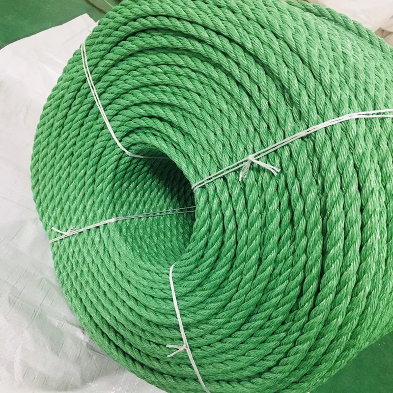 Sản phẩm xanh — Dây Cẩu Hàng Hải Âu - Công Ty TNHH Dệt May Hải Âu — MST 2600927375
