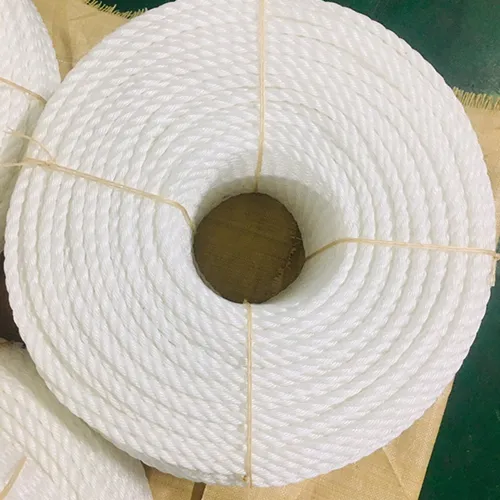 Sản phẩm z4777071345651_826e29b7f68713e6ac8803709c105af9 — Dây Cẩu Hàng Hải Âu - Công Ty TNHH Dệt May Hải Âu — MST 2600927375