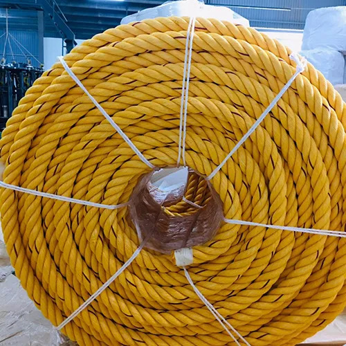 Sản phẩm z4777120337781_c6dbf5c2d26ecc3cde5b0911eb8755c4 — Dây Cẩu Hàng Hải Âu - Công Ty TNHH Dệt May Hải Âu — MST 2600927375