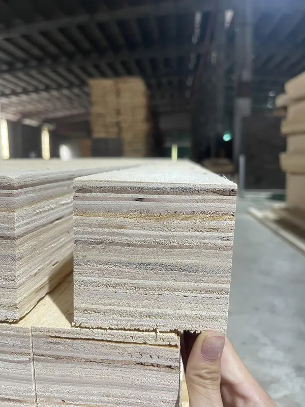 Sản phẩm 1 3 — Công Ty Cổ Phần TN Phú Thọ — MST 2600989075