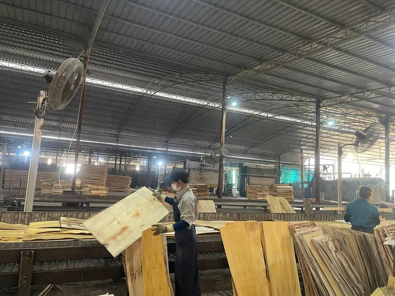 Sản phẩm z6335755987306 775780900808139a317512d375fb7bca 1 — Công Ty Cổ Phần TN Phú Thọ — MST 2600989075