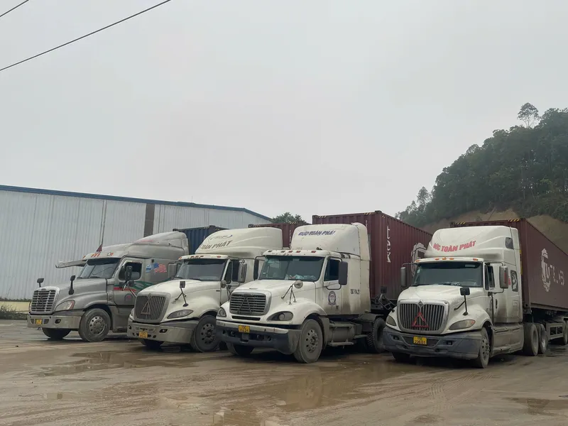 Sản phẩm z6401722197953 829cfa66fa92974f7cc8c17704a3d340 1 — Công Ty Cổ Phần TN Phú Thọ — MST 2600989075