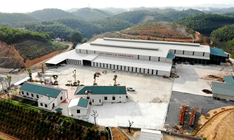 Sản phẩm Slide2 — Công Ty TNHH Dịch Vụ Tổng Hợp Hoa Linh — MST 2600997622