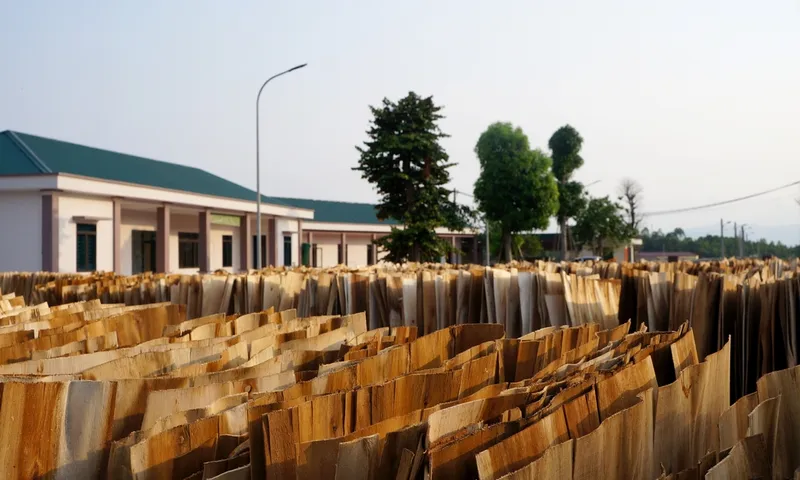 Sản phẩm Slide4 — Công Ty TNHH Dịch Vụ Tổng Hợp Hoa Linh — MST 2600997622